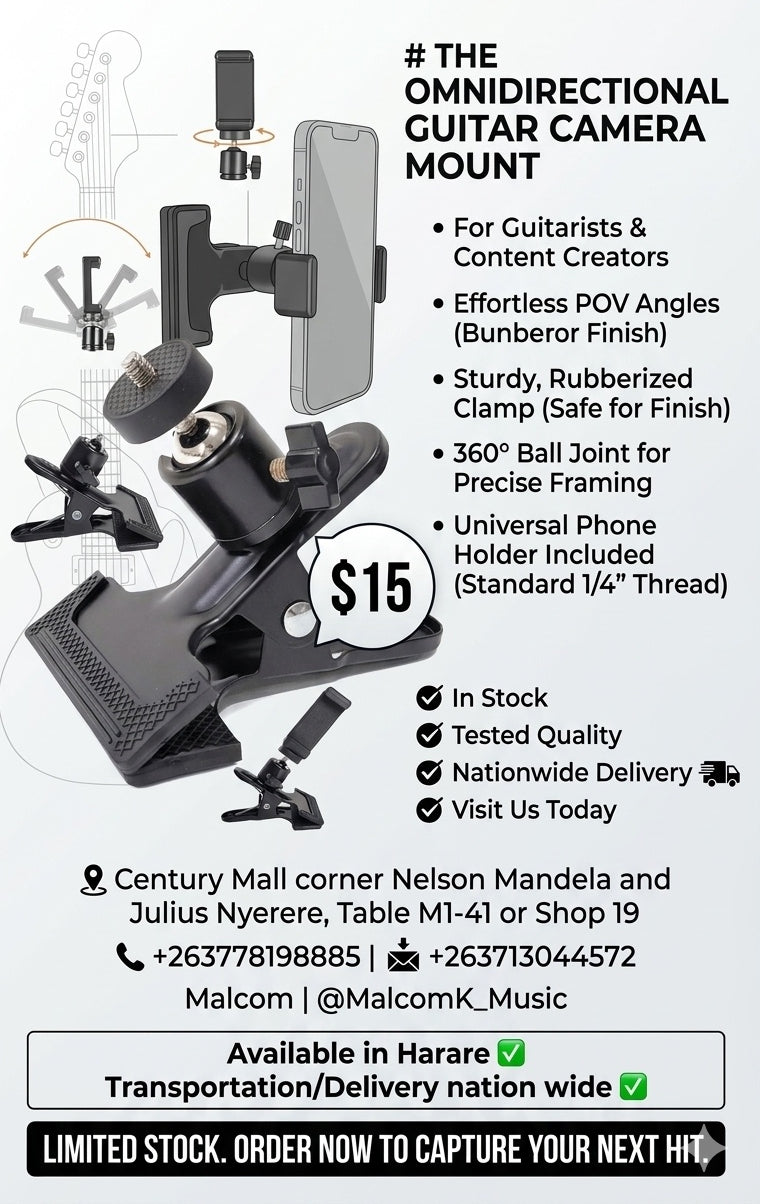 Omnidirectional guitar camera mount